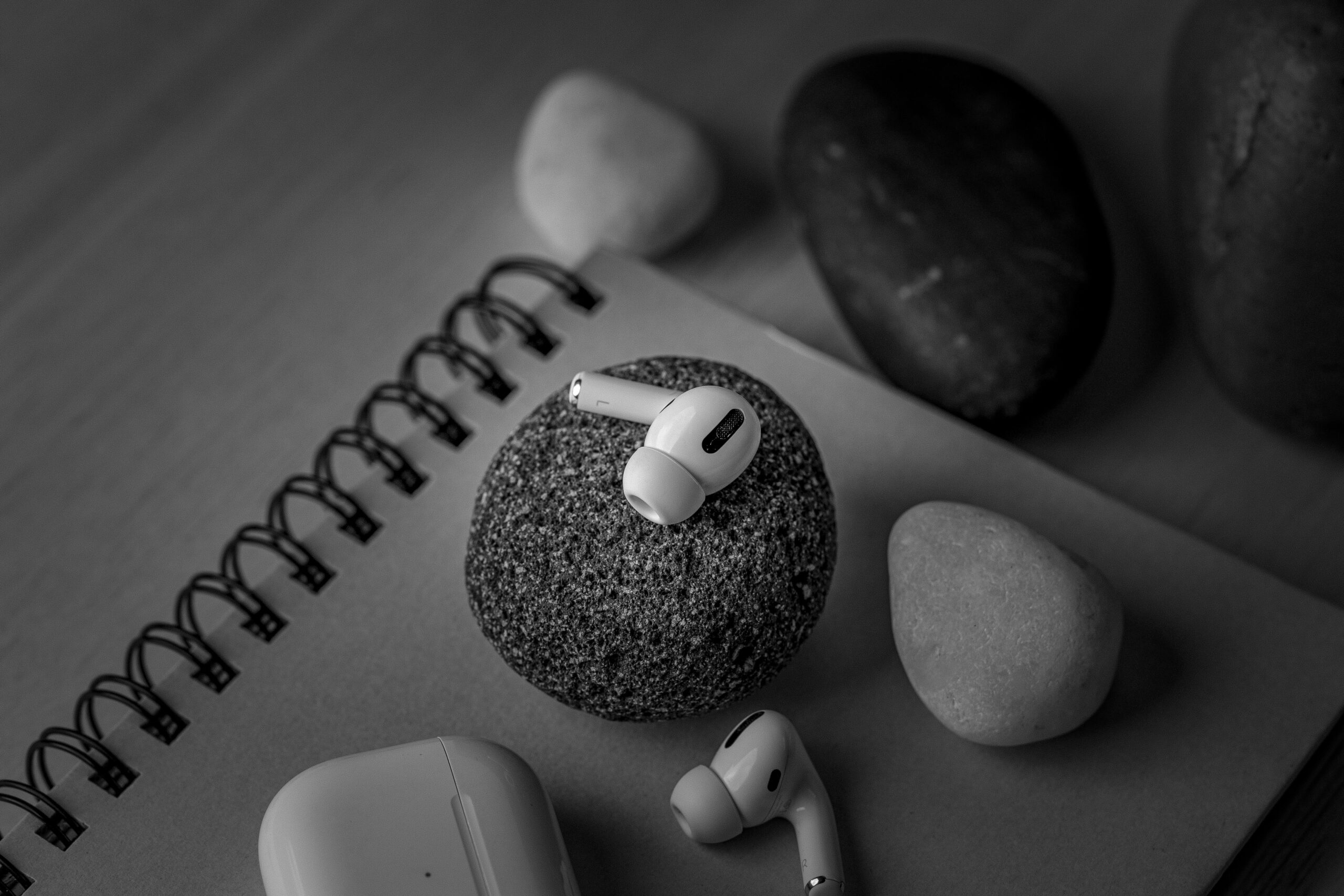 pexels-roshan-ravi-17610888